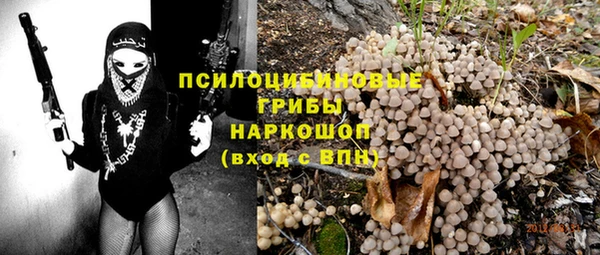 МДПВ Медногорск