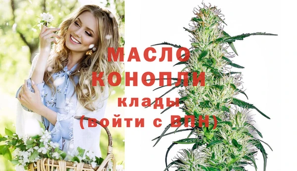 трава Магас
