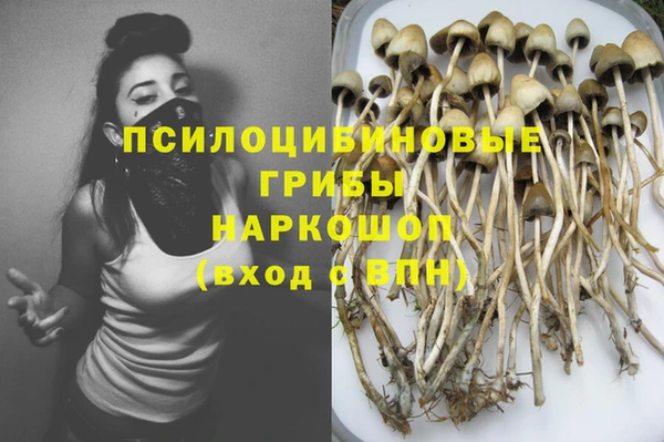 герыч Майский